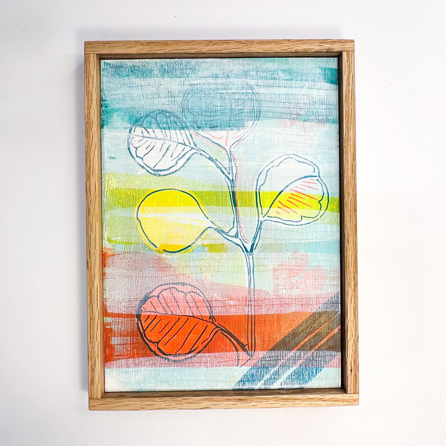 Day 37/100 - Eucalyptus - Original